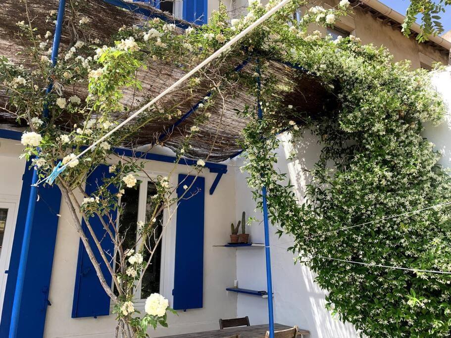Villa En Bord De Mer A Malmousque مارسيليا المظهر الخارجي الصورة